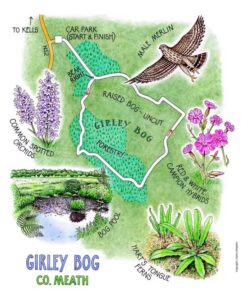 Girley Bog Walk, Kells, Co. Meath