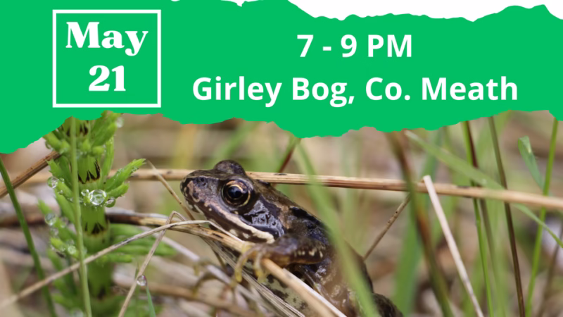 Guided Biodiversity Walk at Girley Bog, Co. Meath, collaborating with IPCC