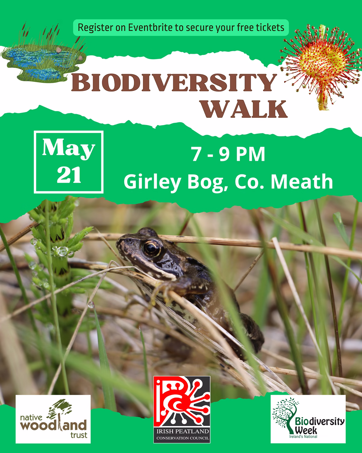 Guided Biodiversity Walk at Girley Bog, Co. Meath, collaborating with IPCC