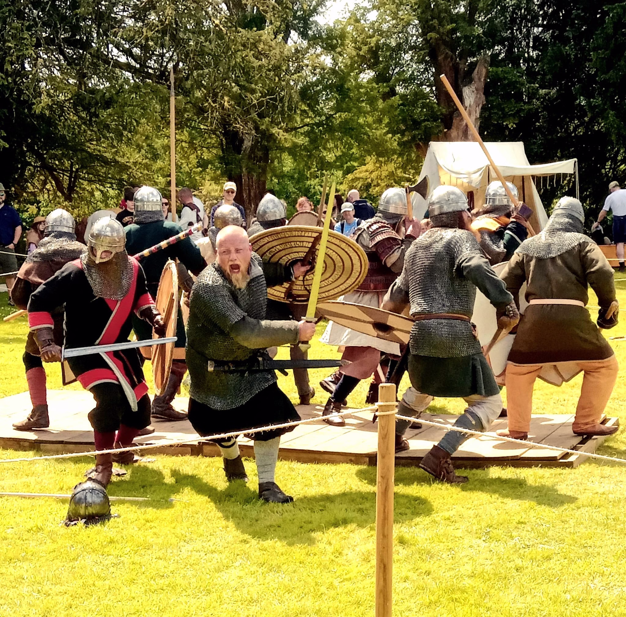 Loughcrew Viking Festival